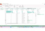 manage excel data entry datacleaning, formatting, pivot tables, or charts